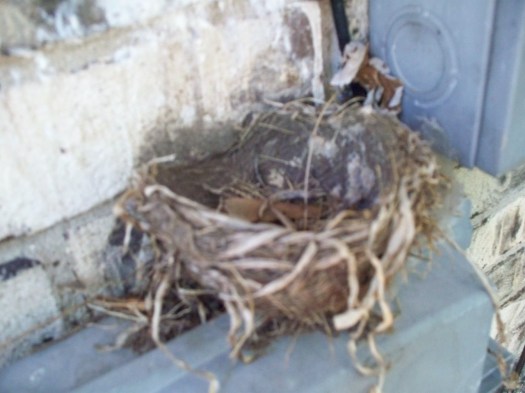 Seven days of Wonder times two